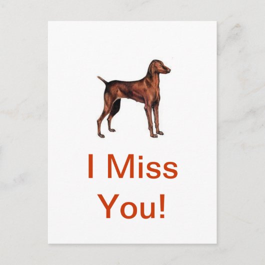 Vizsla Briefkaart (Voorkant)