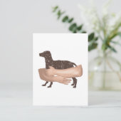 Vizsla Briefkaart (Staand voorkant)