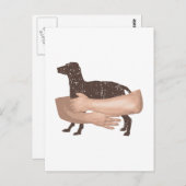 Vizsla Briefkaart (Voorkant / Achterkant)