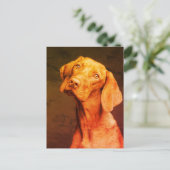 Vizsla Briefkaart (Staand voorkant)