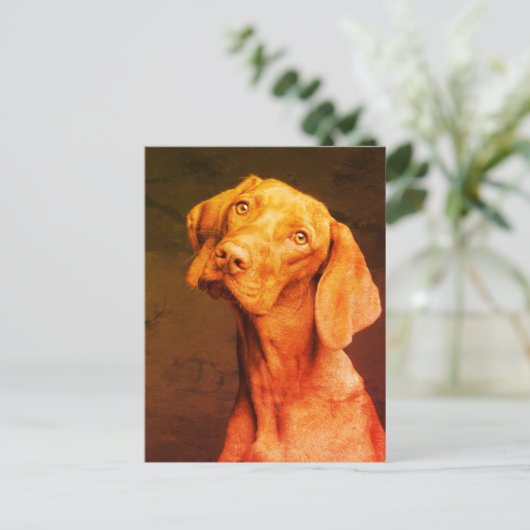 Vizsla Briefkaart (Staand voorkant)