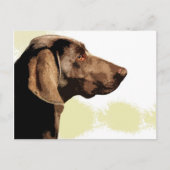 Vizsla Briefkaart (Voorkant)