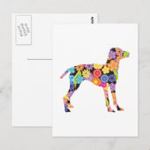 Vizsla Briefkaart (Voorkant / Achterkant)