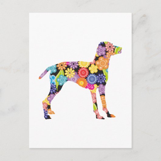 Vizsla Briefkaart (Voorkant)