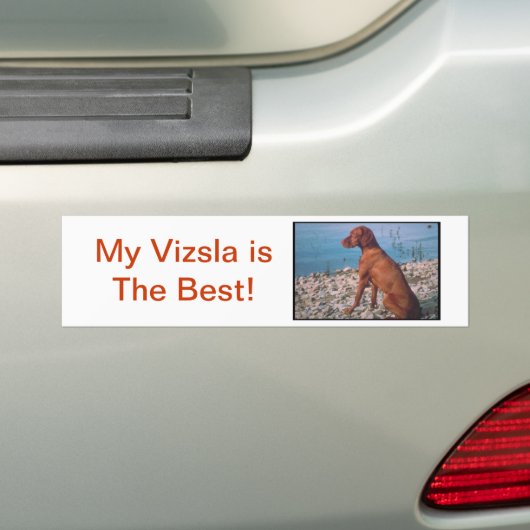 Vizsla Bumpersticker (Op auto)