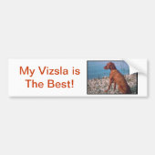 Vizsla Bumpersticker (Voorkant)