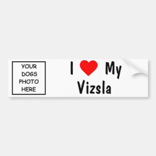Vizsla Bumpersticker