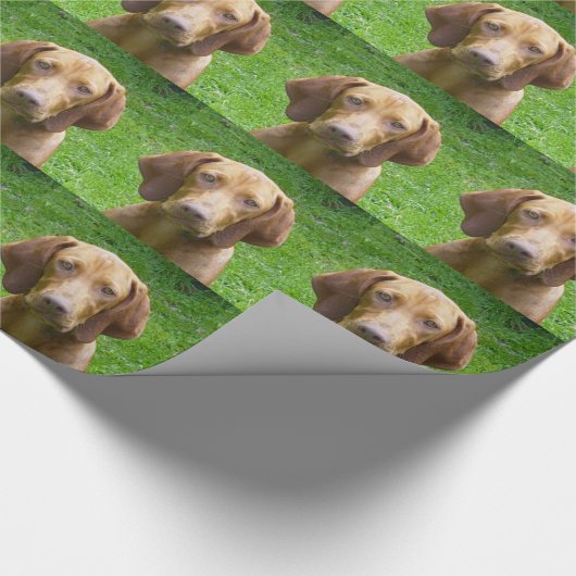 vizsla cadeaupapier (Hoek)
