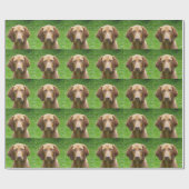 vizsla cadeaupapier (Vlak)