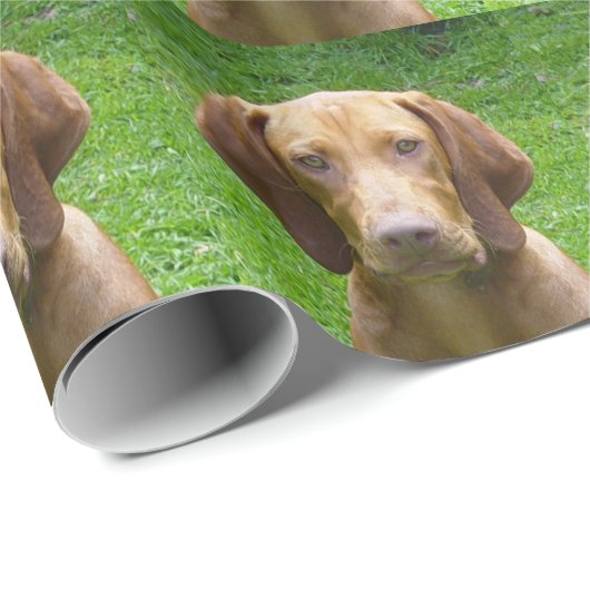 vizsla cadeaupapier (Rol Hoek)