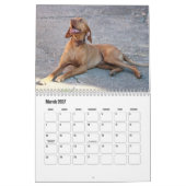 Vizsla Calendar Kalender (Mar 2027)