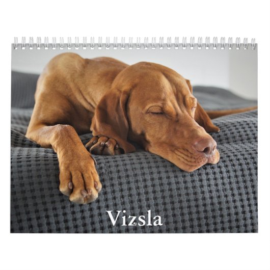 Vizsla Calendar Kalender (Hoes)