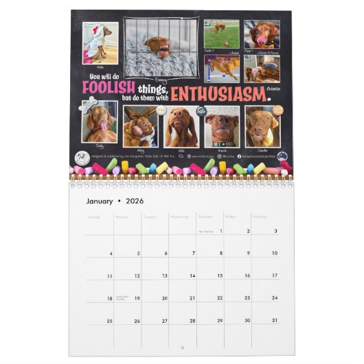 Vizsla Chalkboard Kalender (Jan 2026)