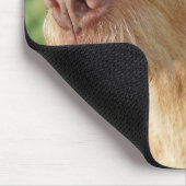 Vizsla Creëer Your Ewn Custom Pet Photo Mousepad Muismat (Hoek)