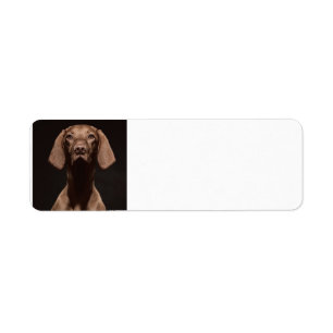 Vizsla Derde Etiket