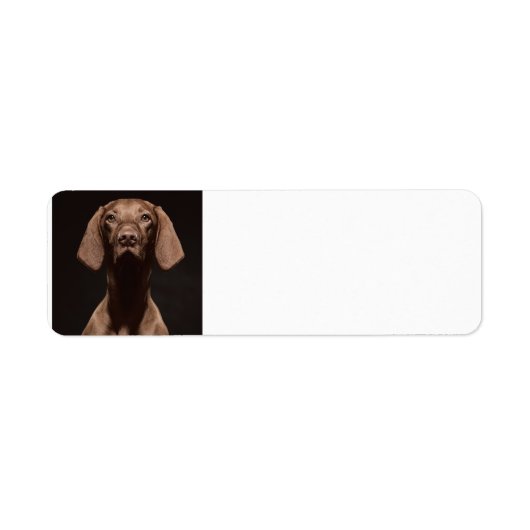Vizsla Derde Etiket (Voorkant)