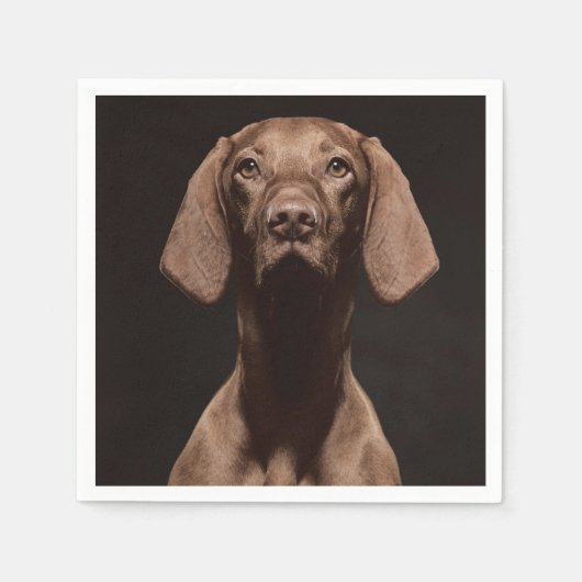 Vizsla Derde Servet (Voorkant)