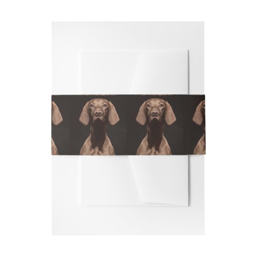 Vizsla Derde Uitnodigingen Wikkel (Voorkant Voorbeeld)