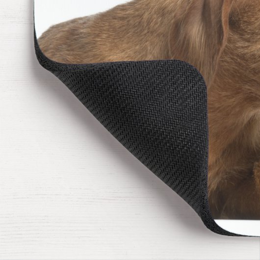 Vizsla, die voor witte achtergrond glanst muismat (Hoek)