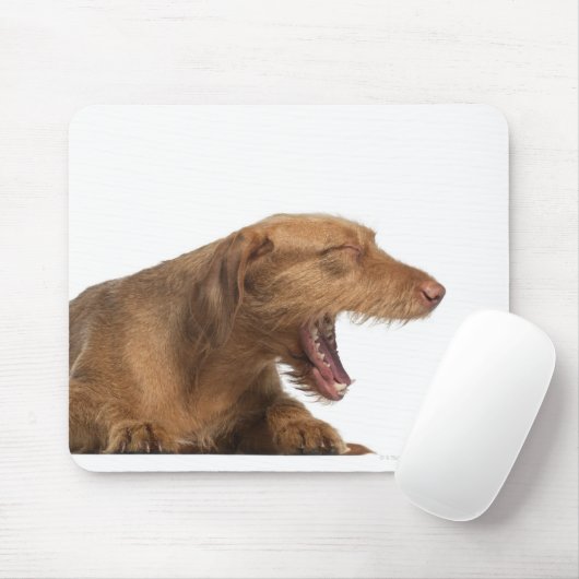 Vizsla, die voor witte achtergrond glanst muismat (Met muis)