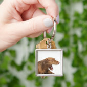 Vizsla, die voor witte achtergrond glanst sleutelhanger (Hand)