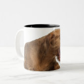 Vizsla, die voor witte achtergrond glanst tweekleurige koffiemok (Voorkant links)
