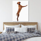 Vizsla Dog Canvas Afdruk (Insitu (Slaapkamer))