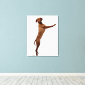 Vizsla Dog Canvas Afdruk (Insitu (Houten vloer))
