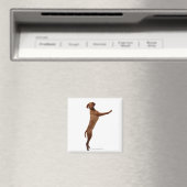 Vizsla Dog Magneet (Insitu (Vaatwasser))