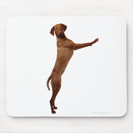 Vizsla Dog Muismat (Voorkant)