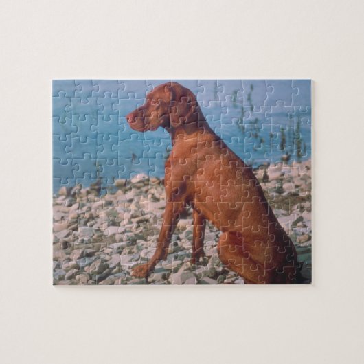 Vizsla Dog Puzzle Legpuzzel (Horizontaal)