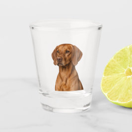 Vizsla Dog Shot Glass Glas