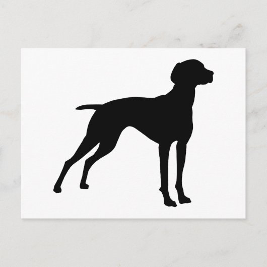 Vizsla Dog Silhouette (zwart) Briefkaart (Voorkant)