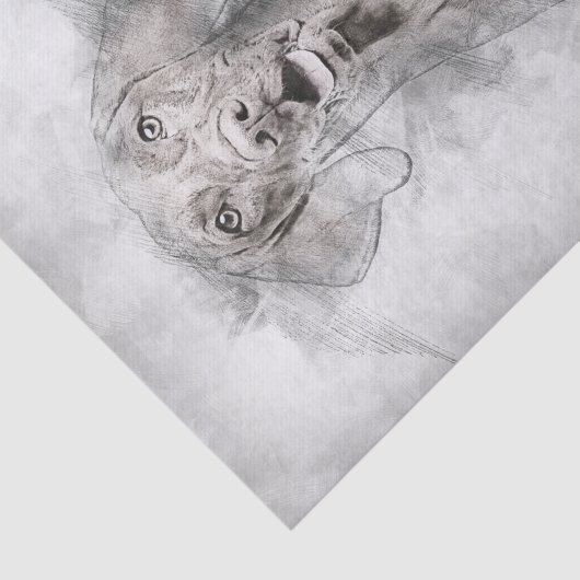 Vizsla Dog Tekening Tissuepapier (Detail)