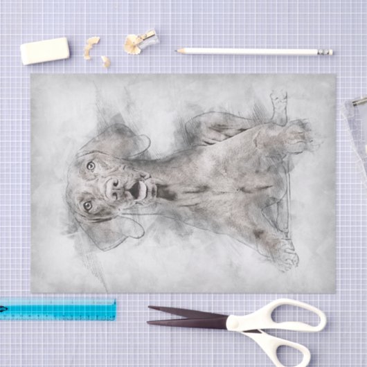 Vizsla Dog Tekening Tissuepapier (Craft)