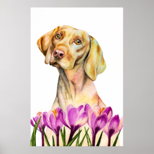 Vizsla Dog Waterverf schilderen, fijne kunst Poster