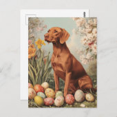 Vizsla Easter Briefkaart (Voorkant / Achterkant)