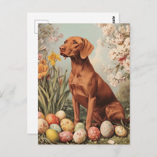 Vizsla Easter Briefkaart (Voorkant / Achterkant)