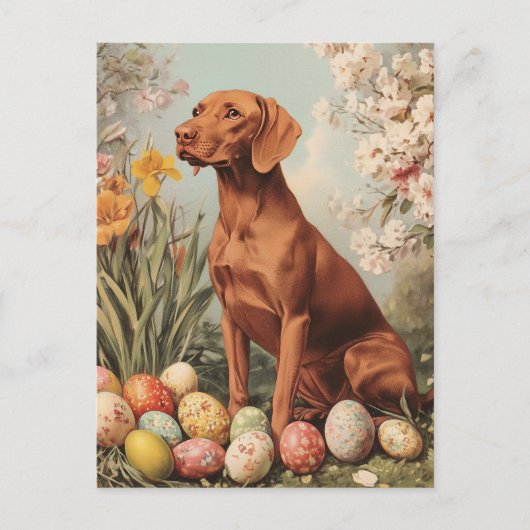Vizsla Easter Briefkaart (Voorkant)
