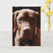 Vizsla - en zij roepen het kalverliefde kaart (Gele Bloem)