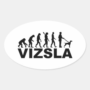 Vizsla Evolution Ovale Sticker