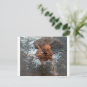 Vizsla_fetch in water.png briefkaart (Staand voorkant)