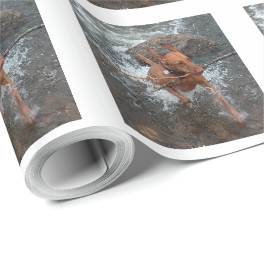 Vizsla_fetch in water.png cadeaupapier (Rol Hoek)