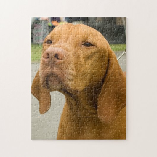 Vizsla Foto Jigzaag Puzzle Legpuzzel (Verticaal)