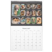 Vizsla fotoalbum kalender (Jan 2027)