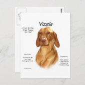 Vizsla Geschiedenis Briefkaart (Voorkant / Achterkant)