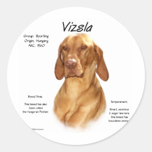 Vizsla Geschiedenis Ronde Sticker