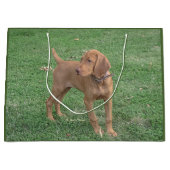 Vizsla Gift Bag Groot Cadeauzakje (Voorkant)