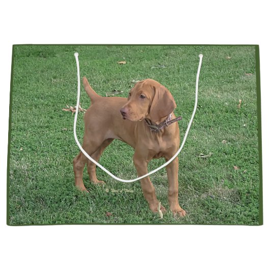 Vizsla Gift Bag Groot Cadeauzakje (Voorkant)