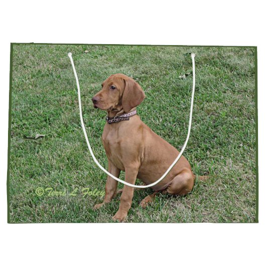 Vizsla Gift Bag Groot Cadeauzakje (Achterkant)